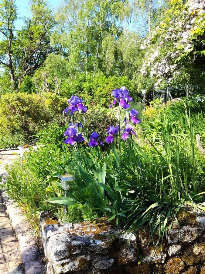 Les Jardins De Camelot Bed and Breakfast Villegouge Εξωτερικό φωτογραφία
